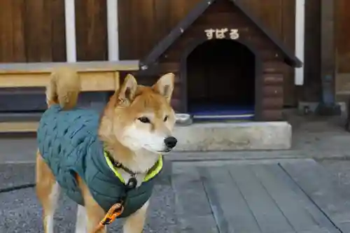 感通寺(東京都)