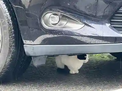唐澤山神社(栃木県)