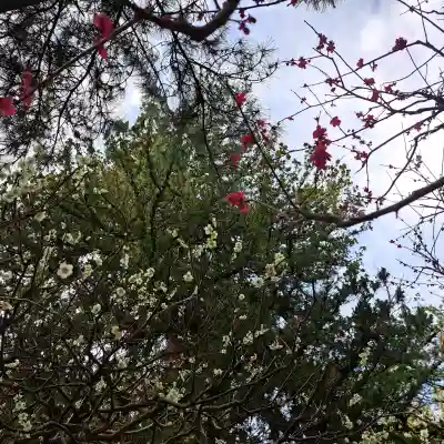 円覚寺の{uncategorized: "未分類", other: "その他", undefined: "問題あり", building: "その他建物", grave: "お墓", sacred_gate: "鳥居", guardian: "狛犬", statue: "像", buddha: "仏像", history: "歴史", nature: "自然", garden: "庭園", animal: "動物", pagoda: "塔", temizu: "手水舎", mountain_gate: "山門・神門", sanctuary: "本殿・本堂", subordinate: "末社・摂社", art: "芸術", scenery: "景色", jizo: "地蔵", ema: "絵馬", goshuin: "御朱印", omikuji: "おみくじ", items: "授与品その他", amulet: "お守り", goshuincho: "御朱印帳", eats: "食事", festival: "お祭り", votive_dance: "神楽", shichigosan: "七五三参", wedding: "結婚式", experience: "体験その他", initially: "初詣", around: "周辺", anti_infection: "感染症対策"}