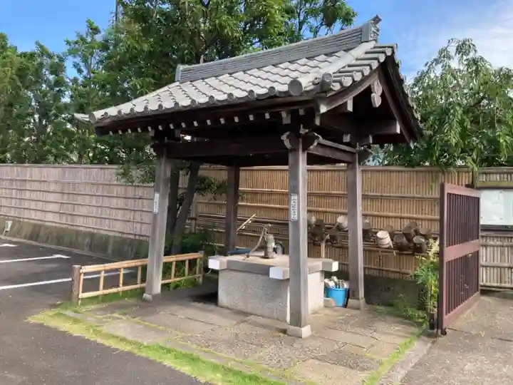 妙蓮寺の手水舎