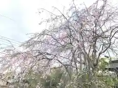 検見川神社の自然