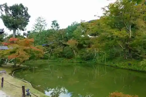 高台寺（高台寿聖禅寺・高臺寺）の庭園