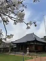 高家寺の本殿・本堂