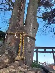 比々多神社(神奈川県)