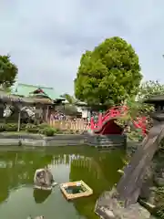 亀戸天神社(東京都)