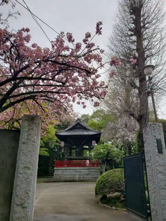 龍光寺(東京都)