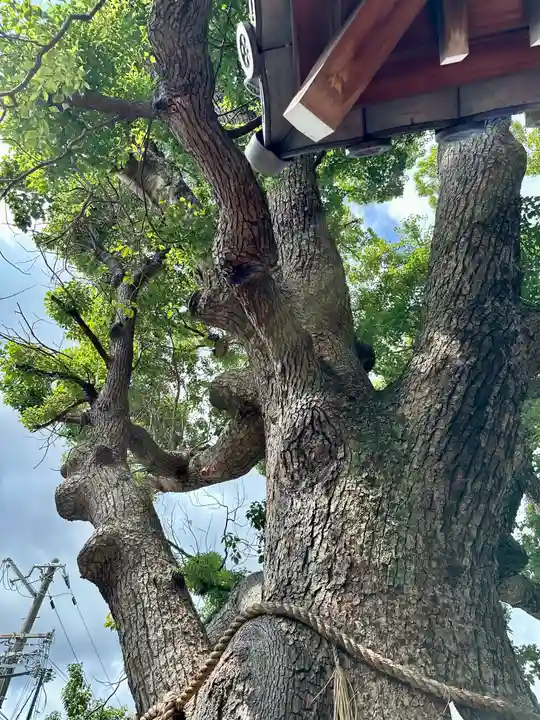 阿保神社(大阪府)