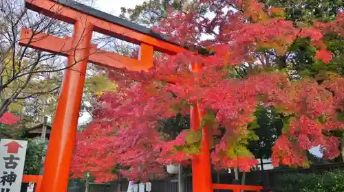 賀茂御祖神社（下鴨神社）の鳥居