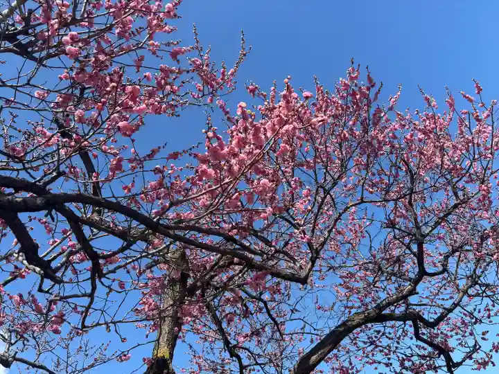 山田天満宮(愛知県)