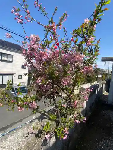 浅間神社の周辺
