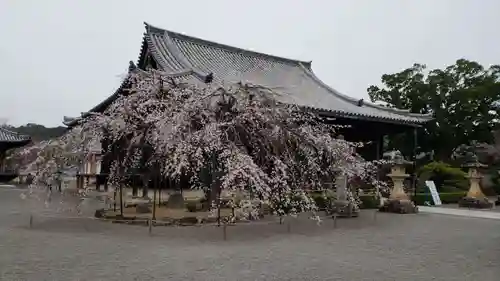 道成寺の自然