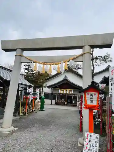 尾張猿田彦神社の鳥居