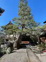 円光寺(滋賀県)