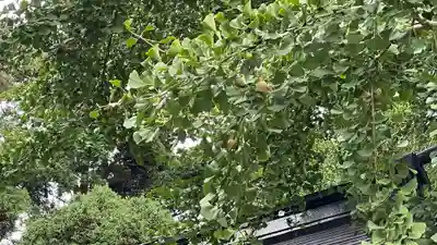 陸奥総社宮(宮城県)