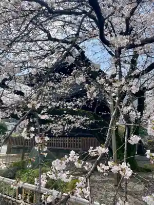 吉祥寺(東京都)