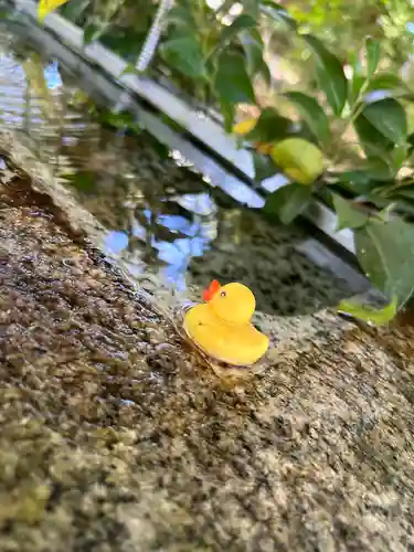 諏訪八幡神社の手水舎