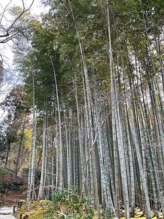 圓光寺(京都府)