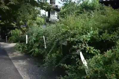 梨木神社のその他建物
