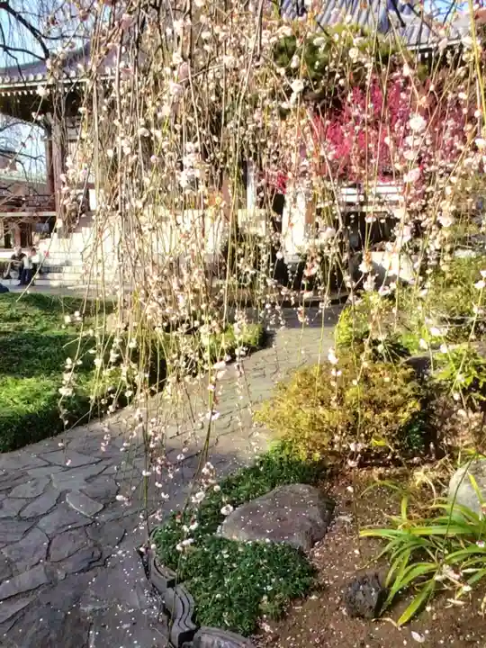 圓照寺(東京都)