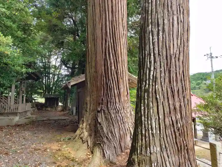 志波加神社の{uncategorized: "未分類", other: "その他", undefined: "問題あり", building: "その他建物", grave: "お墓", sacred_gate: "鳥居", guardian: "狛犬", statue: "像", buddha: "仏像", history: "歴史", nature: "自然", garden: "庭園", animal: "動物", pagoda: "塔", temizu: "手水舎", mountain_gate: "山門・神門", sanctuary: "本殿・本堂", subordinate: "末社・摂社", art: "芸術", scenery: "景色", jizo: "地蔵", ema: "絵馬", goshuin: "御朱印", omikuji: "おみくじ", items: "授与品その他", amulet: "お守り", goshuincho: "御朱印帳", eats: "食事", festival: "お祭り", votive_dance: "神楽", shichigosan: "七五三参", wedding: "結婚式", experience: "体験その他", initially: "初詣", around: "周辺", anti_infection: "感染症対策"}