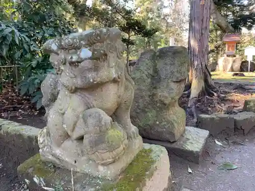 鶴峯八幡宮の狛犬