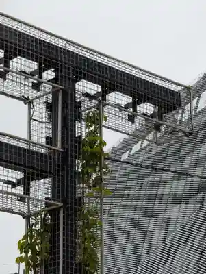 武蔵野坐令和神社(埼玉県)