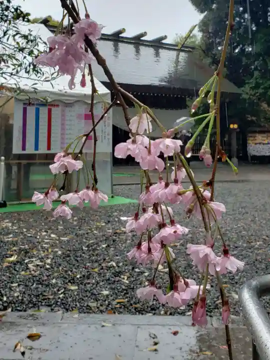 阿佐ヶ谷神明宮(東京都)