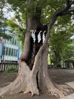 戸部杉山神社(神奈川県)