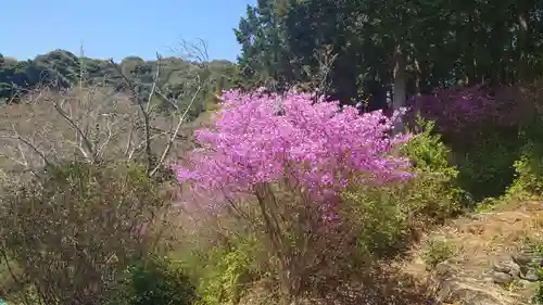 善住禅寺(愛知県)