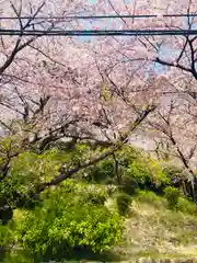 道明寺天満宮の自然