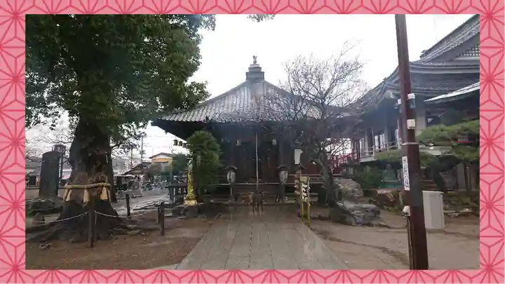 龍泉寺(足利厄除大師)(栃木県)