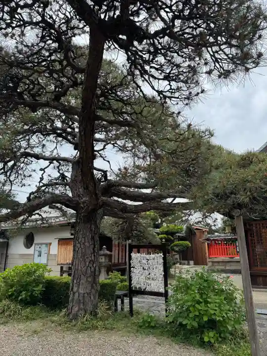 御霊神社の{uncategorized: "未分類", other: "その他", undefined: "問題あり", building: "その他建物", grave: "お墓", sacred_gate: "鳥居", guardian: "狛犬", statue: "像", buddha: "仏像", history: "歴史", nature: "自然", garden: "庭園", animal: "動物", pagoda: "塔", temizu: "手水舎", mountain_gate: "山門・神門", sanctuary: "本殿・本堂", subordinate: "末社・摂社", art: "芸術", scenery: "景色", jizo: "地蔵", ema: "絵馬", goshuin: "御朱印", omikuji: "おみくじ", items: "授与品その他", amulet: "お守り", goshuincho: "御朱印帳", eats: "食事", festival: "お祭り", votive_dance: "神楽", shichigosan: "七五三参", wedding: "結婚式", experience: "体験その他", initially: "初詣", around: "周辺", anti_infection: "感染症対策"}