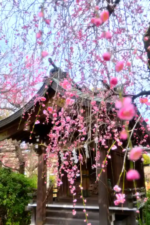 亀戸天神社(東京都)
