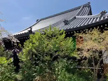 妙慶寺(大阪府)