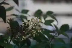 阿邪訶根神社の庭園