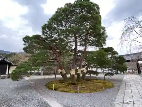醍醐寺（上醍醐）(京都府)