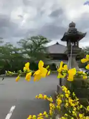 浄土寺(兵庫県)