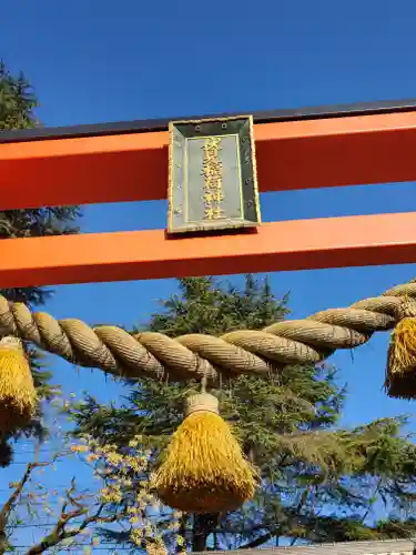 伏見稲荷神社の鳥居