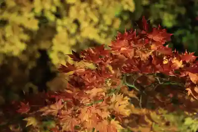 北広島市総鎮守　廣島神社(北海道)