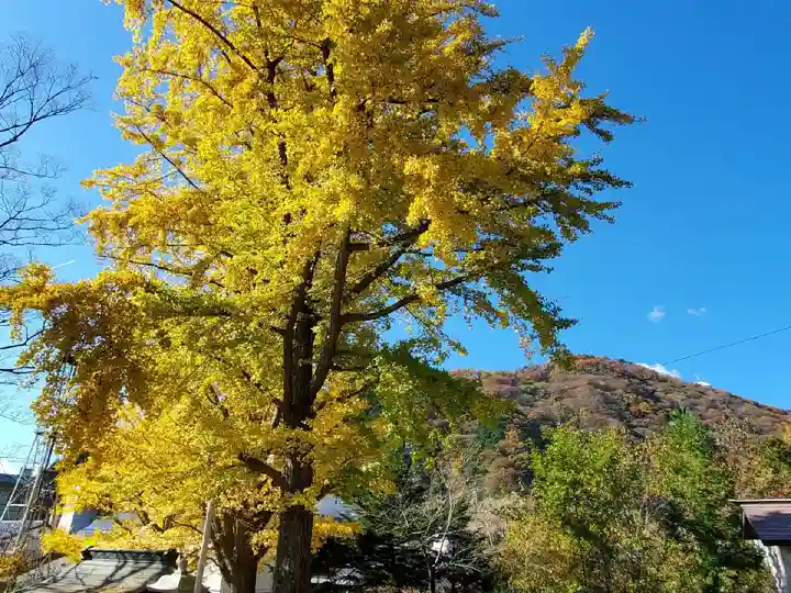 温泉神社~磐梯熱海温泉~の自然
