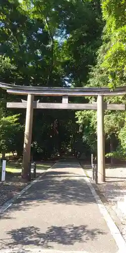 若狭彦神社（上社）の鳥居