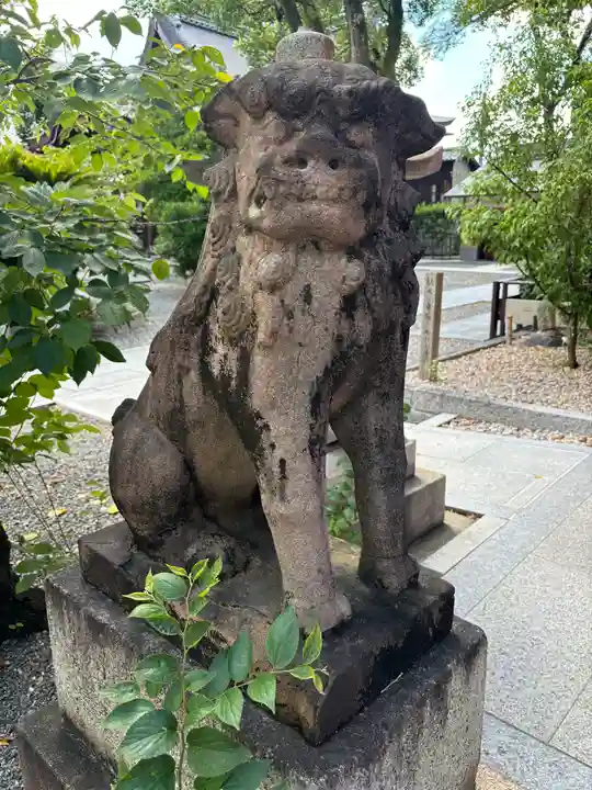 安井金比羅宮の狛犬