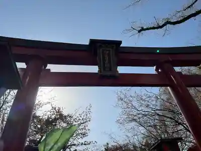 彌彦神社　(伊夜日子神社)の鳥居
