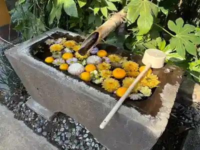 安立寺(千葉県)