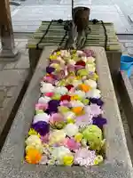 頂法寺(六角堂)の手水舎