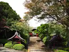 護国寺(東京都)