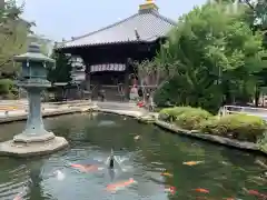 霊山寺の庭園