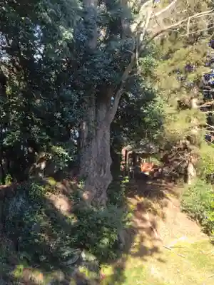 愛宕神社(渕ノ上)(宮城県)