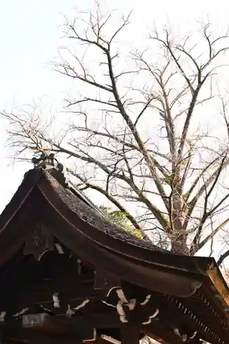 河合神社（鴨川合坐小社宅神社）(京都府)