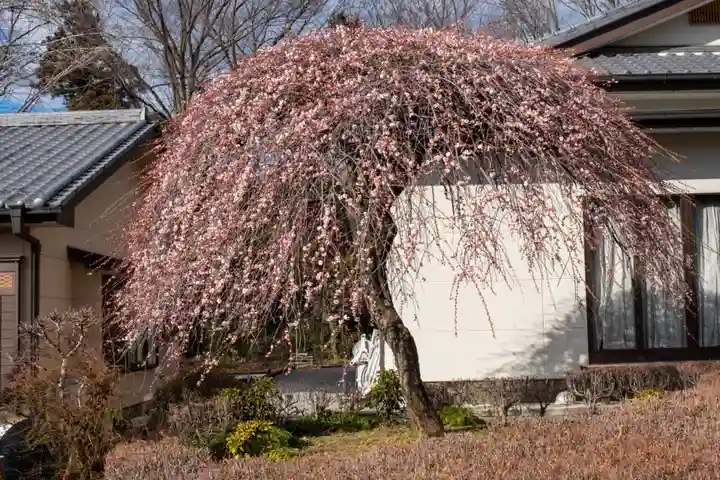 朝日森天満宮の自然